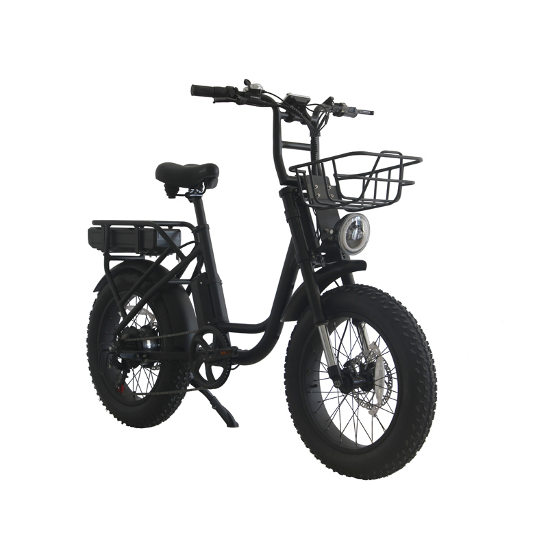 Aluminum Alloy Frame 20 Inch Fat Tire e-Bike with Long-Lasting Lithium Battery