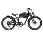 Customized Logo 48V XINYUN-MODEL-Y Retro Leisure Fat Wheel E-bike for Adult