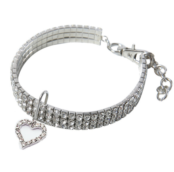 personalized kitten collar