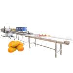Industrial Fish Washer Sugarcane Banana Avocado Ginger Onion Sweet Potato