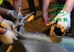 Trenchless UV Cured CIPP Ultra Violet Pipe Lining Fiberglass Pre Impregnated