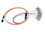 APC 12 core MTP / MPO – LC Fiber Optic Patch Cord for Premise Installations