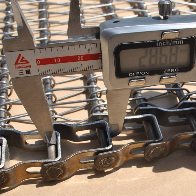 Customized Corrosion Resistance Fruit Chocolate Conveyor Belt Chain Driven