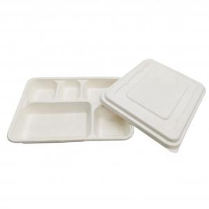 Wholesale Biodegradable Food Box White Color Food Grade Sugarcane Pulp Material Non Pollution from china suppliers