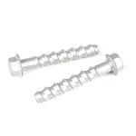 100% QC Tested Hex Flange Stainless Steel Concrete Anchors Bolt for Supporting