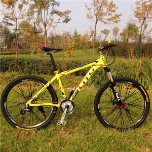 Wholesale EN standard OEM special 24 spoke wheel Shimano 27 speed aluminium alloy mountain bike for travel from china suppliers