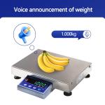 High Accuracy 0.5G SOHE AT-B 3KG Electronic Table Scale for Industrial Weighing