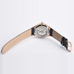 Customized Color Automatic Mens Wrist Watches With Leather Strap Band