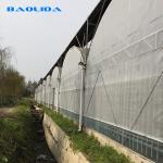 Commercial Poly Tunnel Greenhouse Automated Agriculture Multi Span Greenhouse