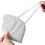 17.5x9.5cm KN95 Respirator Mask , NB2834 FFP2 Disposable Mask