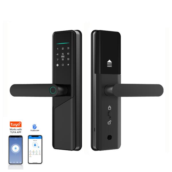 Biometric Fingerprint Electronic Smart Door Locks High Security With TTlock Tuya