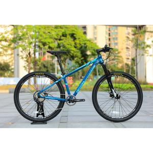Wholesale 29er Speed Mountain Bike with Custom Carbon Fiber Frame and Prowheel TEN-M601 Crankset from china suppliers
