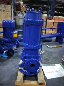 Wholesale Durable Cast Iron Sewage Pump Drainage Schools Auto Coupling Installation from china suppliers
