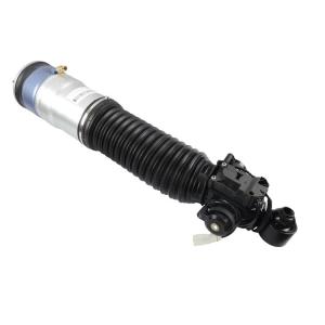 Wholesale Automotive Rear Right Air Spring Strut Shock Absorber for BMW 37126796930 from china suppliers