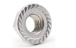 SS304 Galvanized Hex Head Cap Nut M8 Dacrotized Painting