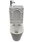 New Model Favorable SWJ101 Price Two Piece Washdown Rimless Toilets with Faucet