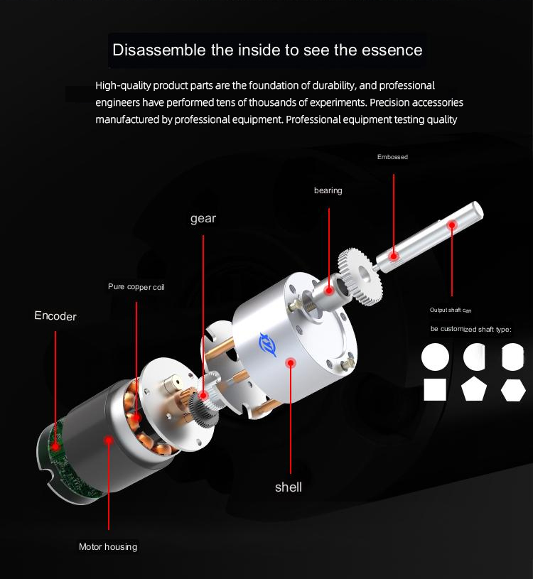 Customizable 12v Dc Motor Low Speed Brushless Electric Motor