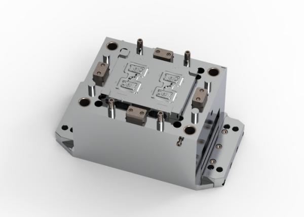 OEM / ODM ： Double Injection Molding & Transparent Smart Watch Lower Housing (1