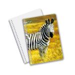 Wholesale customized hot sale size A6 A5 A4 PET spiral 3D lenticular CMYK