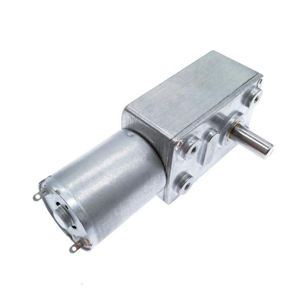 Faradyi Hot Sale Micro Mini 12v 24V Low Speed High Torque Dc Motor With Worm