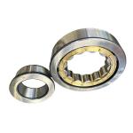 Alpha NJ421 Cylindrical Roller Bearing for Drive Bearing in Building Material