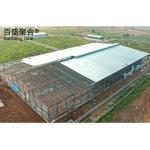 Painted Multi Storey Steel Frame Construction Building High Rise Architecture