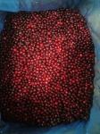 HACCP IQF Frozen Sweet And Delicious Wild Frozen Fruit