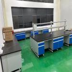 Integrated Wood Structure for Chemistry Lab Furniture with Easy Installation
