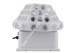 4 Eyes DMX Disco Stage LED Lights 30W RGBW Led Image Magic Light