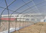 Advanced Clear Anti Drip Steel Frame Greenhouse Poly Tunnels For Gardens