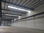 Customized Steel Structures And Construction Materials For Buildings