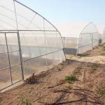 Agricultural High Hoop Arch Polyethylene Film Greenhouse For Planting