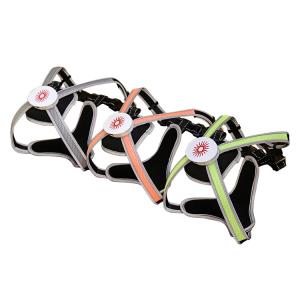 Wholesale Eco Friendly Flashing LED Dog Harness , Highly Reflective Dog Harness With LED Lights from china suppliers