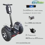 Standing up Segway Electric Scooter / Electric Golf Cart Scooter with Bag
