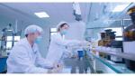 Polyvinylpyrrolidone Pvp K90 Povidone K90 Medicine Grade and Not Volatile