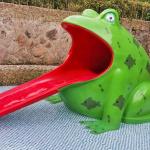 High Strength Frog Water Slide For Children Pool Water Park Durable