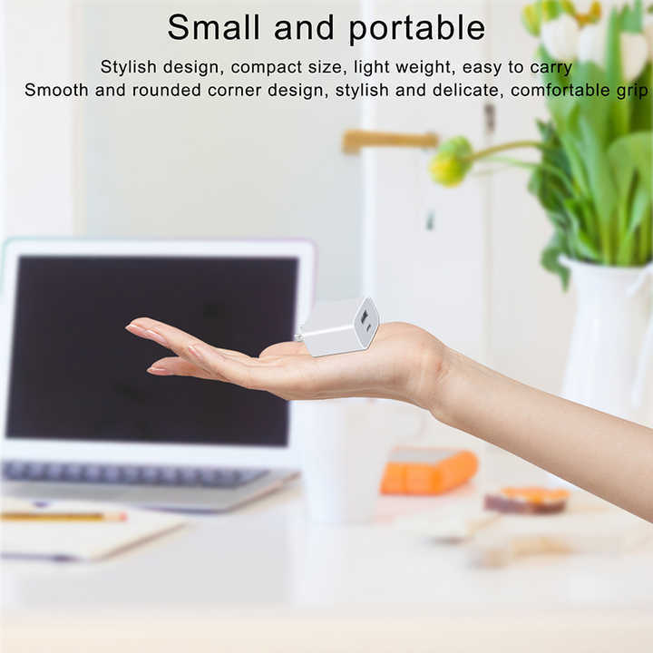 US 2P PD (Power Delivery) Charger with USB - C and USB - A Ports 18w
