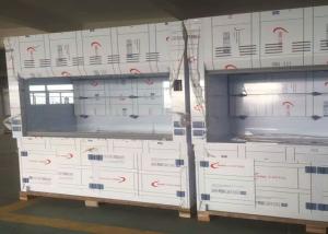 Wholesale High Laboratory Exhaust Hood With PP Faucet And Sink Fume Hood from china suppliers