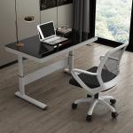Electric Height Adjustable Wooden Glass Stand Up Desk for Gaming Work Home