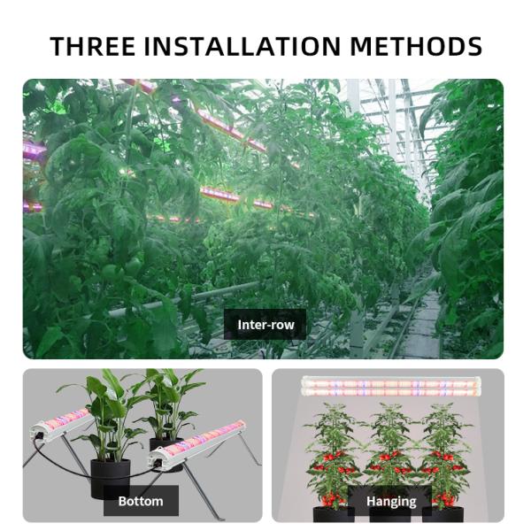 Dimmable Under Canopy Grow Lights Inter Row Bar Custom Spectrum LED Grow Lights 120W