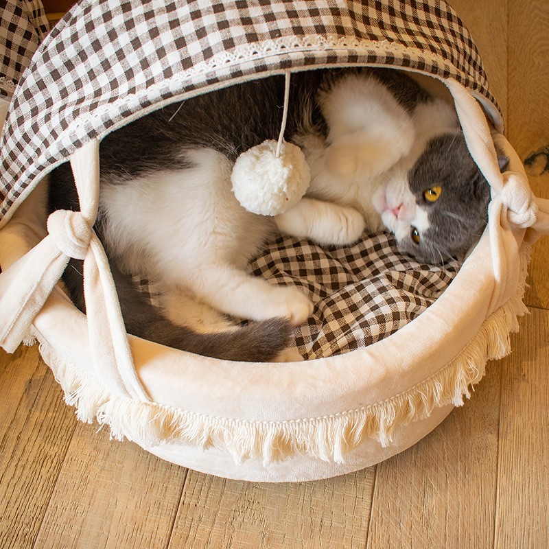 raised dog bed b&m