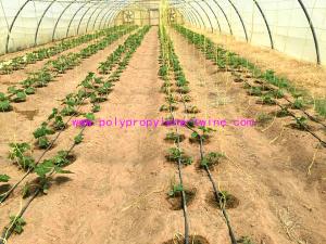 Wholesale 1g/m Stable Agricultural Tomato Tying Twine High Tenacity Different Colored from china suppliers