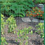 New Arrival Best Prices 3d Fence Pvc Coated Iron Wire Fence Steel Panel Fold