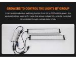 320w Full Spectrum LED Grow Light LED Grow Light Quantum Board High Efficiency
