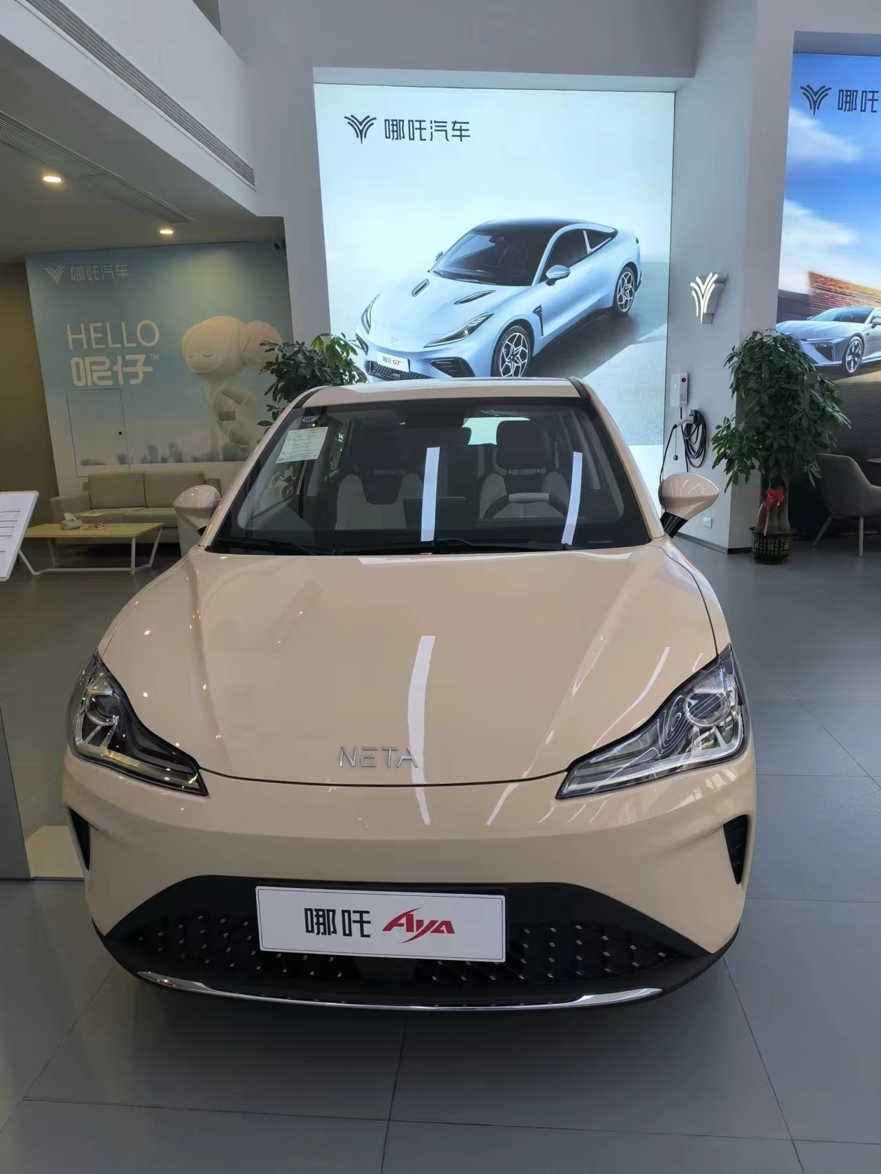 2023 Neta Aya The Most Small SUV with Pure Electric Energy and Long-Lasting Battery