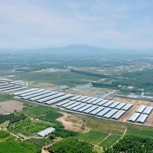 Prefab Steel Structure Warehouse Building Customizable Fast Installation