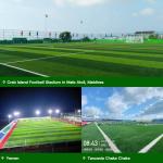 Shock Absorbing Durable Professional Grade Artificial Grass for Soccer Stadiums