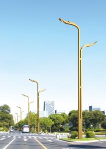 Wholesale Aluminium Lamp Iron Pole LED Solar Street Lights 5 Years Warranty from china suppliers