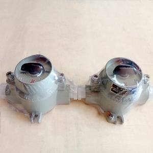 Wholesale 10 Amp Explosion Proof Switch Boxes Electrical For Hazardous Area IP65 from china suppliers