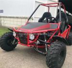 Experience the Power and Performance of this 4 Stroke 2 Seater Off-Road Dune